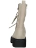 Geox Stiefelette in Beige