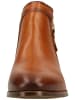 Pikolinos Stiefelette in Brandy