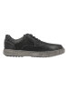 Camel Active Halbschuhe in Schwarz