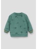s.Oliver Sweatshirt in 65A1_minze