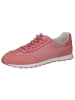 Caprice Sneaker in PINK COMB