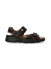 Mephisto SHOES "Shark Fit" in dark brown