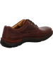 Clarks Klassischer Schnürschuh in braun
