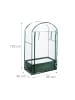 relaxdays Balkongewächshaus in Transparent/ Grün - (B)89 x (H)153 x (T)49 cm