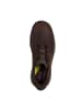 Skechers Schnurschuh LOCKETT-GUSTAV in chocolate