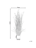 Beliani Kunstpflanze POMPOM GRASS in Grün/Rosa/Schwarz - (W) 50 x (H) 120 x (L) 50 cm