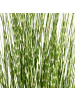 Beliani Kunstpflanze ZEBRA GRASS in Grün/Schwarz - (W) 40 x (H) 120 x (L) 40 cm