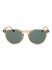 Pepe Jeans Herren Sonnenbrillen Panto Honig