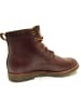 PANAMA JACK Boots in braun