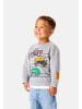 name it Sweatshirt 'Jorge Tonka' in grau