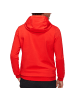 Mammut Hoodie in Rot