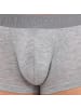 Bikkembergs 2er-Set: Boxershorts in Gray