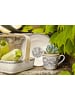 Villeroy & Boch 6er Set Kaffeebecher Audun Ferme 300 ml in weiß-grau-gelb