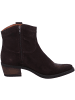 Apple of Eden Stiefel  in Braun