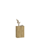 xonox.home Schuhkommode  (B/H/T: 61x99x34 cm) in Artisan Eiche Nachbildung