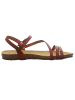 Plakton Riemchensandalette in braun