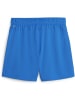 Puma Sporthose "TeamGoal Handball Shorts W" in Blau