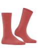 Falke Socken Family in Lobster