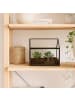 relaxdays Pflanzenterrarium "Haus" in Schwarz - (B)16 x (H)16 x (T)11,5 cm