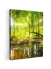 MuchoWow Leinwand bilder Waldlicht (BxH)