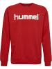Hummel Sweatshirt Raglanärmel Hmlgo Herren in TRUE RED