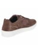 Palado Low Sneaker in braun