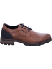 Tom Tailor Schnürschuhe in cognac