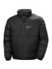 Helly Hansen Jacke Active Reversible in Schwarz