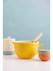Mason Cash Rührschüssel mit Griff Home to Roost 24 cm gelb