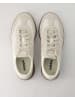 adidas Sportliche Schnürschuhe in Beige