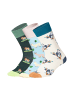 DillySocks Socken Animal Adventures (3er Box) in Beige Weiss Hellblau Grün