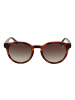 Timberland Männer Sonnenbrille Rund Braun