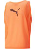 Puma T-Shirt "Bib" in Rot