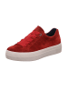 Legero Sneakers Low LIMA in Oriente