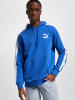 Puma Puma Hoodie in blue