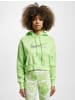 Nike Nike Kapuzenpullover in key lime/flat pewter