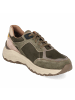 Josef Seibel Low Sneaker DAVIE 03 in grün