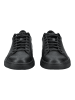 Geox Sneaker in Schwarz