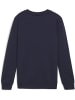 Puma Pullover "TeamGoal CasuaLongsleeve Crew Neck Sweat Jr" in Blau