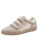 Tamaris Sneaker in IVORY
