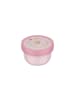 Mepal Fruchtbox Campus 300 ml in Fairy Garden