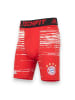 adidas Shorts TF FC Bayern München Base Layer Tight in Rot
