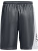 Under Armour Short "Curry Splash 9" Shorts" in Grau