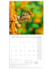 NOTIQUE Wandkalender 2027 mit 6-sprachigem Kalendarium in Lizards - 30 x 30 cm