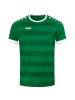 Jako Fußballtrikot Celtic Melange KA in grün / weiß