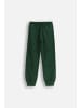 MOKIDA Jogginghose in grün
