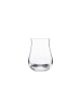 Eisch 2er Set Whisky Nosing Tumblers Gentleman 350 ml in transparent