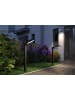 paulmann Outdoor Plug & Shine Poller ITO vertikal IP65 6W 3000K anthrazit