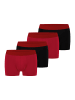 Bruno Banani Retro Short / Pant Flowing in Cranberry