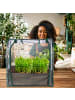 relaxdays Frühbeet in Grün/ Transparent - (B)68 x (H)70 x (T)50 cm